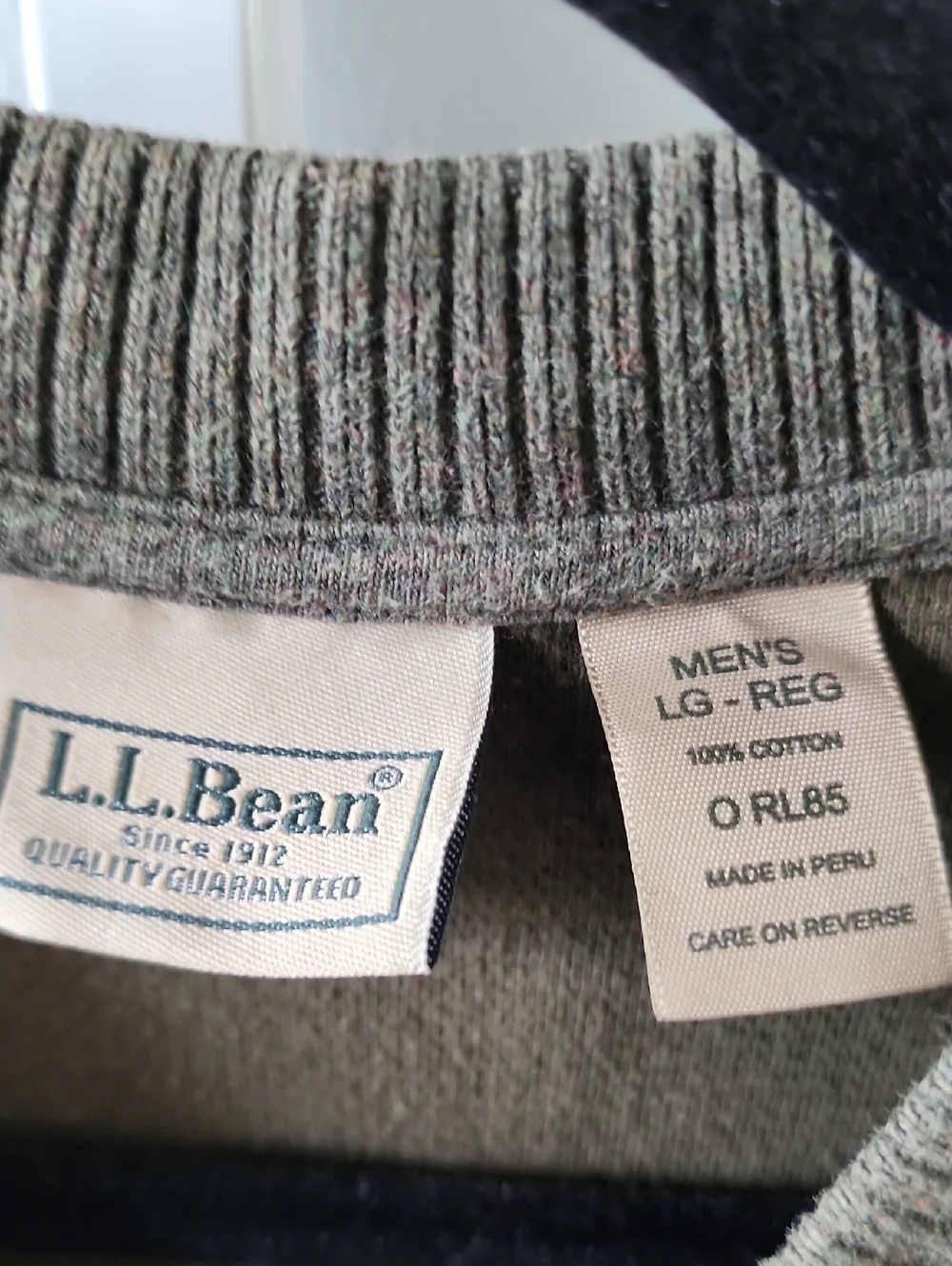 L.L. Bean Men's V-Neck Sweater in Olive